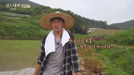초보 농부들의 '한 땀 한 땀' 모내기 수작업!