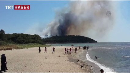 Gelibolu Yarımadası'nda orman yangını