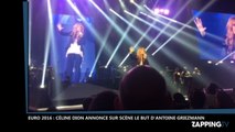 Euro 2016: Céline Dion annonce le but sur penalty d’Antoine Griezmann en plein concert (Vidéo)