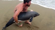 Incredible Rescue of Young Dolphin Caught on Camera (Storyful, Inspiring)