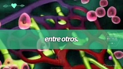 Evita el consumo de refrescos y reduce el riesgo cardiovascular