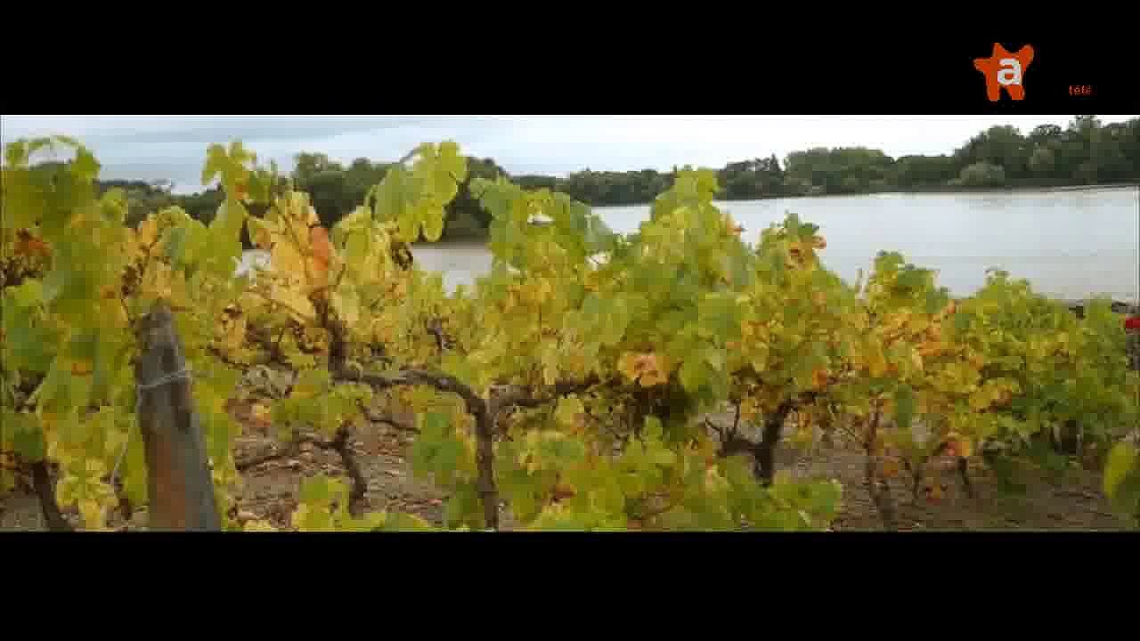 ACCES RESERVE 2015 [S.2015] [E.50] - Accès Réservé du 11 décembre 2015 : Au Bon Pasteur
