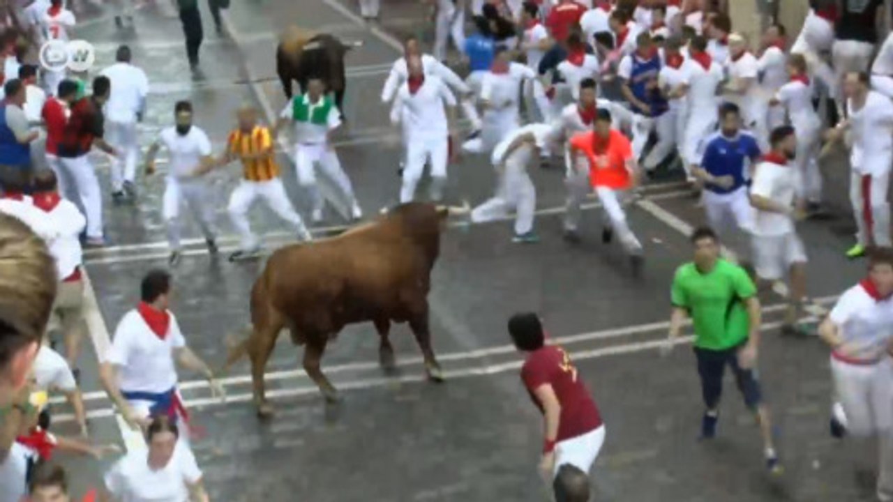 Vídeo: 'Calma Ferdinando': Touro invade campo, arrasta homem e assusta  jogadores