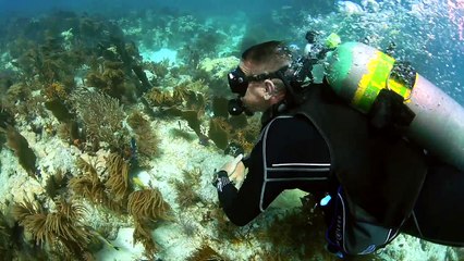 Aqua Lung’s i450T Computer