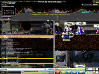Chew Botting/Hacking