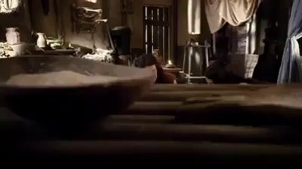 Devemos ser igual a uma semente de Tamareira...