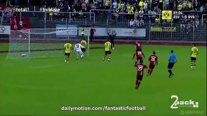 ERK2-5BVB Friendly