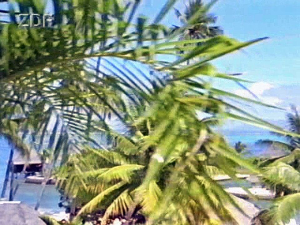 Das Logbuch der Bounty