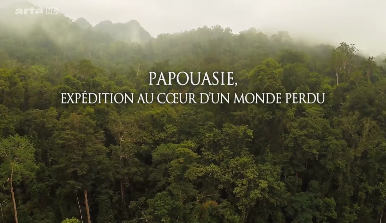 Papouasie, Expédition Au Coeur D'Un Monde Perdu (1/2) [HD]