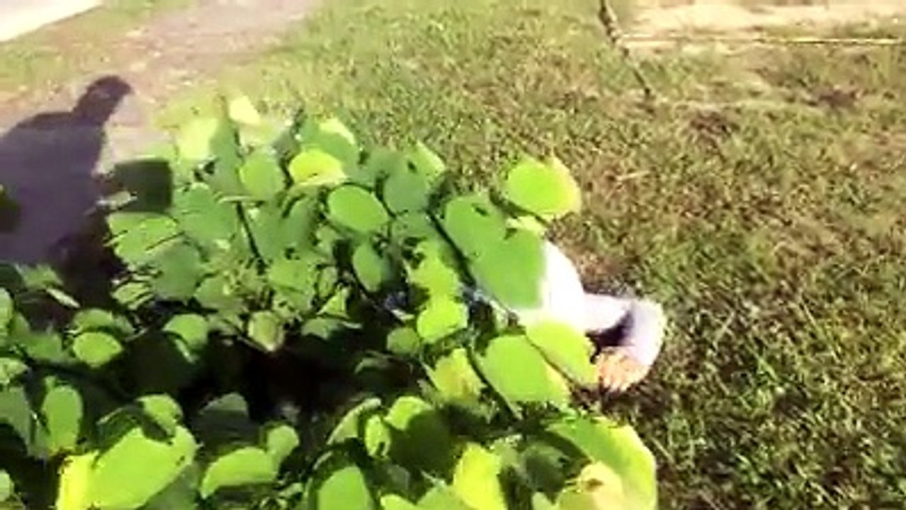 LO QUE PODRÍA OCURRIR SI JUEGAS A TENER DOS AMORES :O