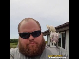 Kötü Muamele Gördüğü Yerden Kurtarılan Kuşun Sevinci