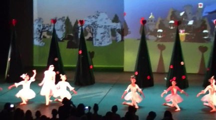 Gala Entrechats 2016 trets