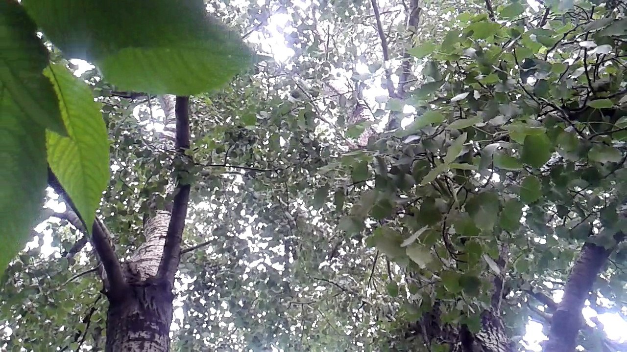 20150610_134544