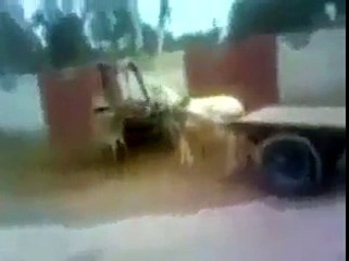 Ye gadha or gadhi road per dekhen kia kar rahe hain