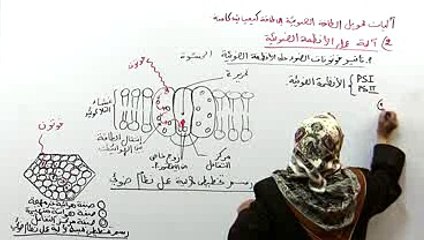 آلية عمل الأنظمة الضوئية 1