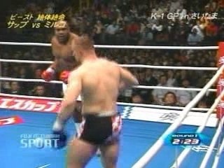 Mirko Cro Cop Vs Bob Sapp