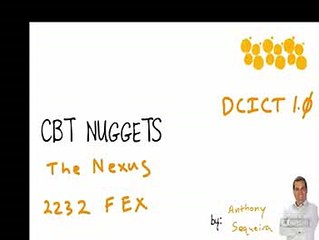 19 The Nexus 2232 Fabric Extender