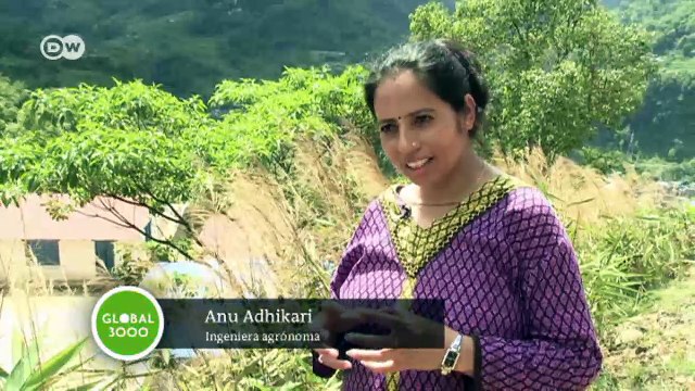 Nepal: plantas contra la erosión | Global 3000