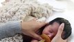15 Second Newborn + Sibling Video by Ana Brandt