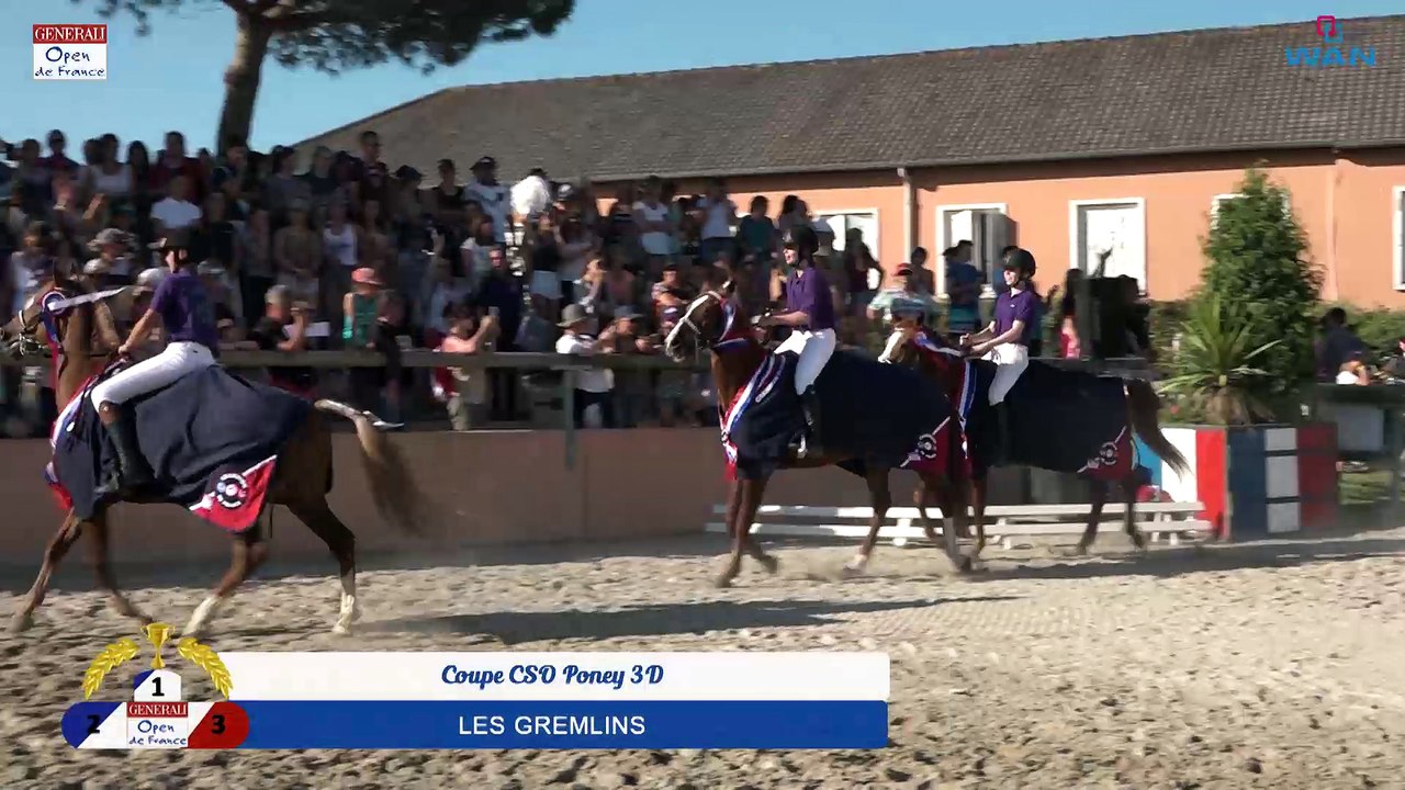 Coupe CSO Poney 3D