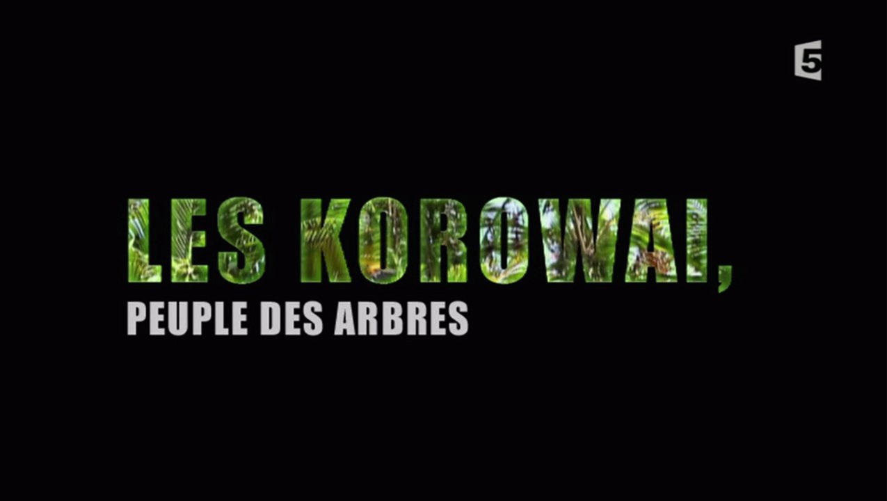 Les Korowai, Peuple Des Arbres