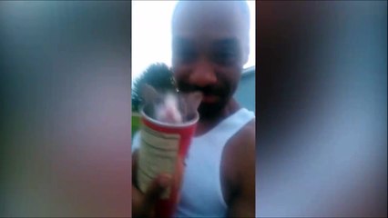 Ce chaton se cache dans une boite de Springles