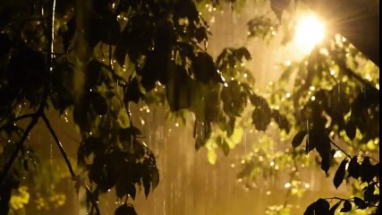 Rain in night - Heavy rain sound & video in beautiful nature......