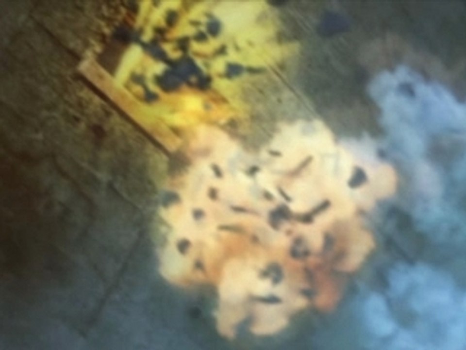 Amv Appleseed - X-Ray Dog - Dethroned