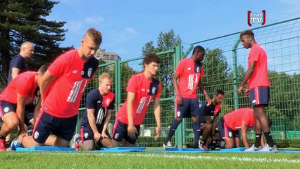 Au coeur de la préparation des Dogues