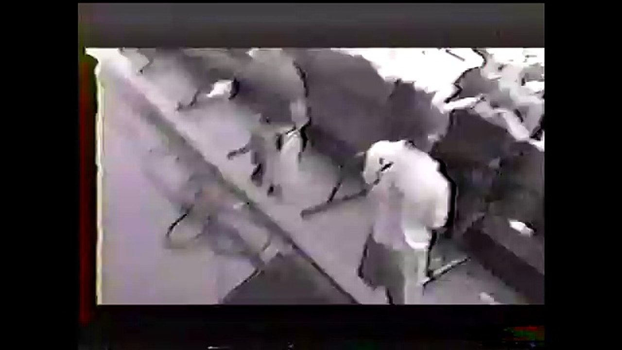 Sublime Pool Shark Live 8-17-1995 Better Quality