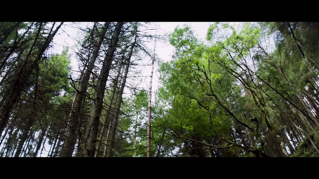 Billionaire Ransom Official Trailer #1 (2016) Phoebe Tonkin, Ed Westwick Thriller Movie HD