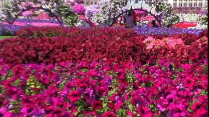 Miracle Garden Dubai