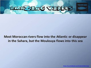 Most Moroccan rivers flow into the Atlantic or disappear in the Sahara, but the # Quiz # Question