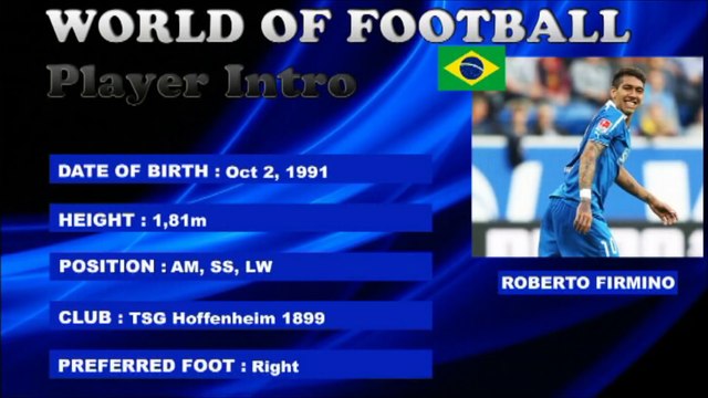 ROBERTO FIRMINO _ Hoffenheim & Brazil _ Goals, Skills, Assists _ 2014_2015 (HD)
