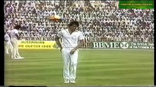 Imran Khan's famous 6_14 vs India Sharjah 1985 by jamat ali rehmani