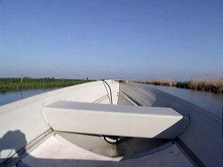 Mercury 15 / Quicksilver 410 SL