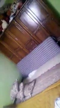 Regardez mes Amis ce super Chardonneret il est vraiment génial machallah de : Madani Sargo merci beaucoup Cher frère