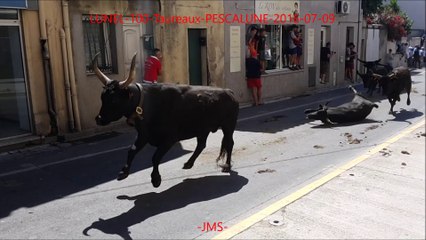 LUNEL-100-Taureaux-PESCALUNE-2016-07-09