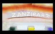 Zanzibar Music Beach - 7.2 - Domenica 22 Giugno 2008 - Sottomarina di Chioggia