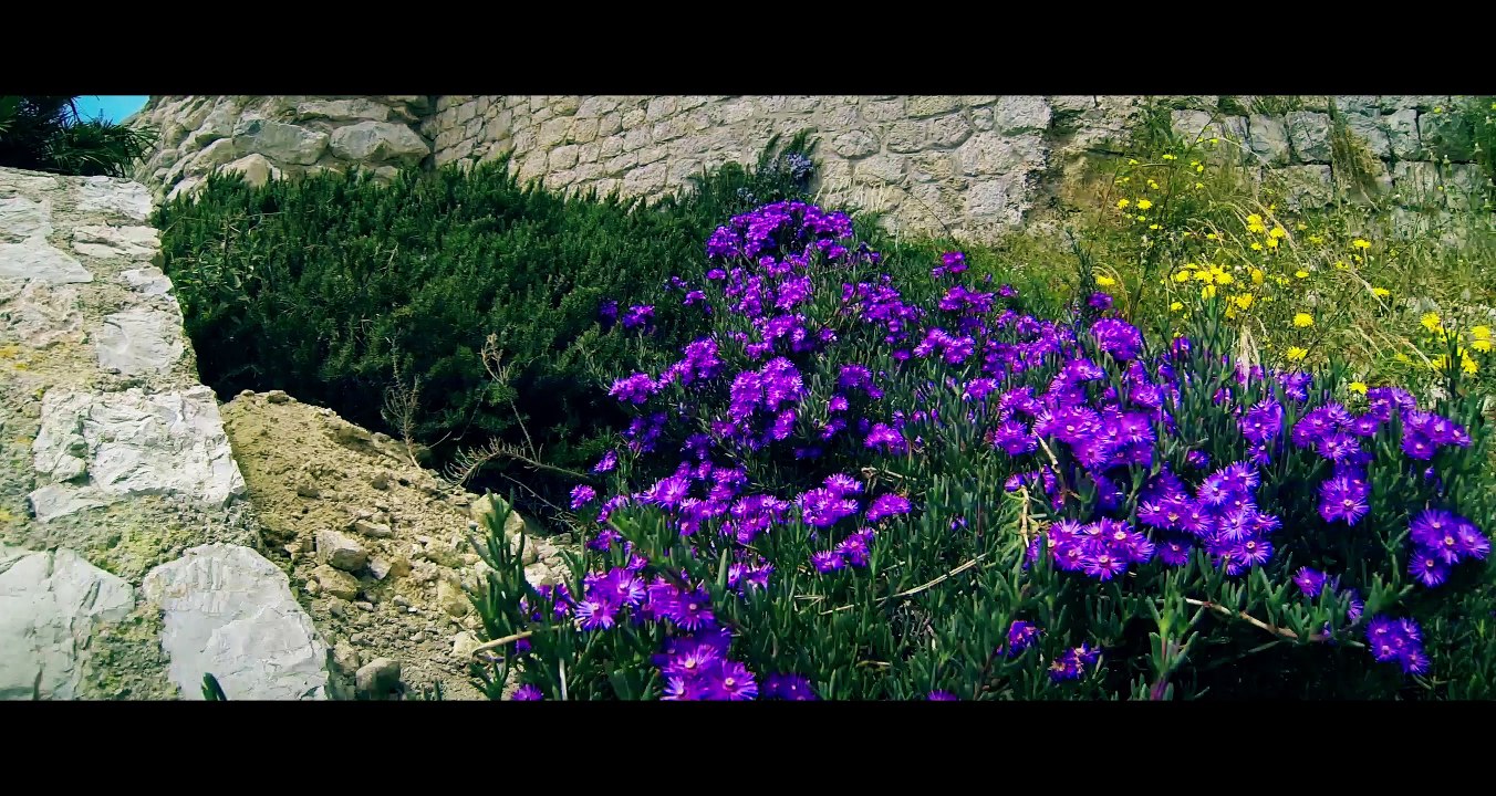Ibiza. Castillo de Dalt Vila