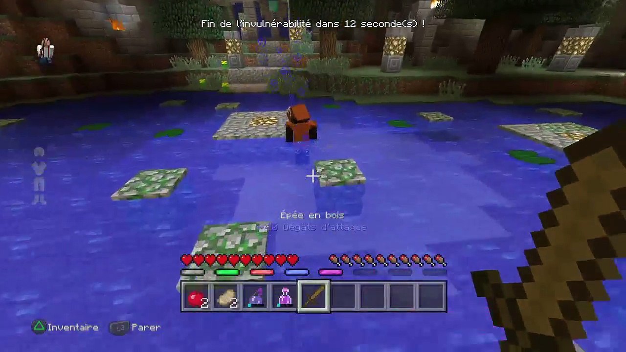 Arene ps4 minecraft online (89)