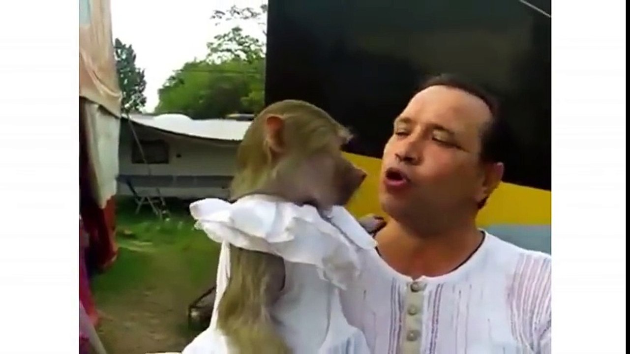 whatsapp funny videos 2016 -  MOST VIRAL FUNNY VIDEOS 2016, WhatsApp videos