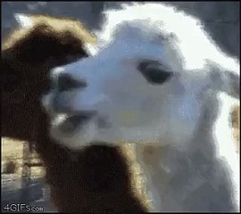 Paye ta gueule pour aller bosser le dimanche !