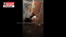 بالفيديو.. جريمة إنسانية بكفر صقر بالشرقية.. عامل يطلق كلابه على كلب آخر لتنال منه ويسقط قتيلا