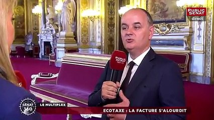 "Ecotaxe : la facture s'alourdit" - Réaction de Vincent Capo-Canellas, Sénateur UDI-UC, pour Public Sénat (6/7/2016)