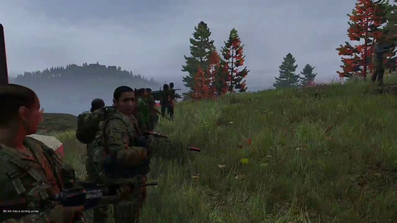 Team Deathmatch on Skalisti Island 2.0 [OldschoolDayZ.net]