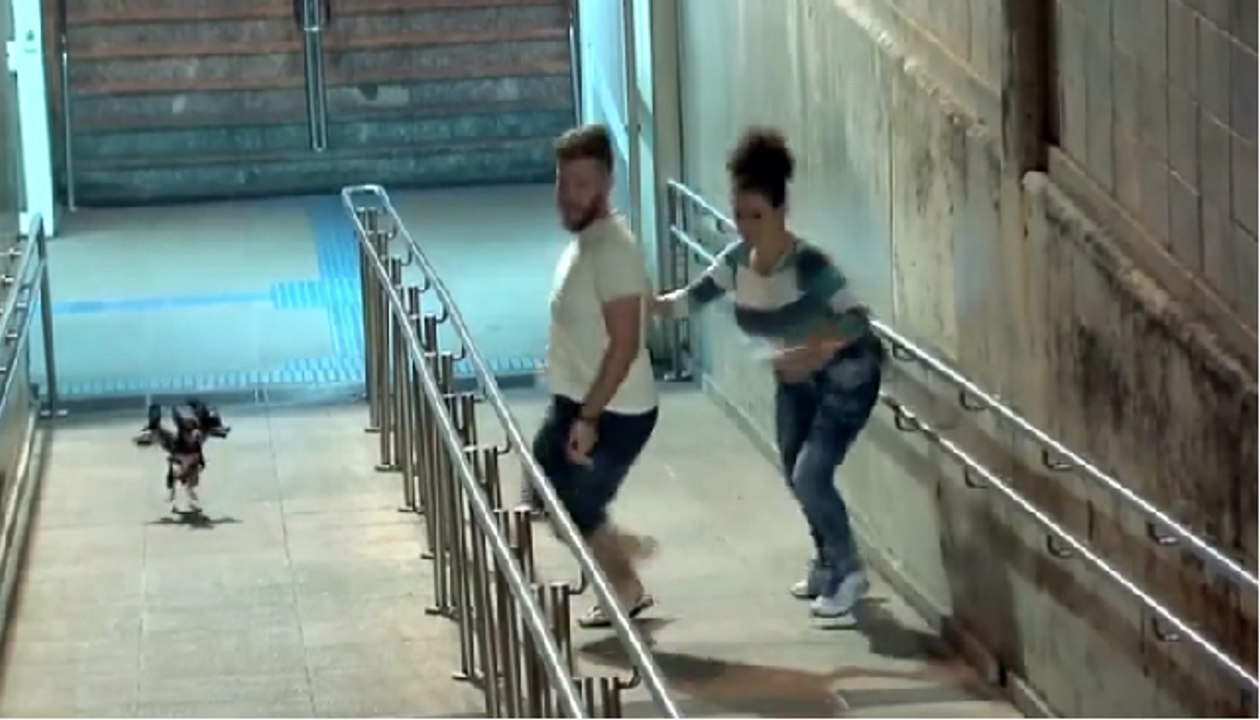 Câmera Escondida (03-07-16) - Cachorro de Três Cabeças (Cerberus Prank)