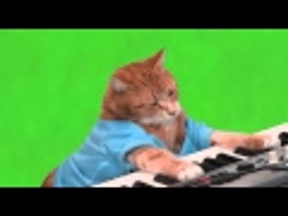 Charlie Schmidt's "Keyboard Cat" With & Without Green Screen (No Copyright)