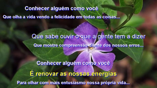 Amizade Verdadeira! O Valor De Uma Amizade! Para Um Grande Amigo!