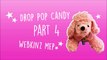 Drop Pop Candy - Webkinz MEP 【CLOSED】3/15 DONE